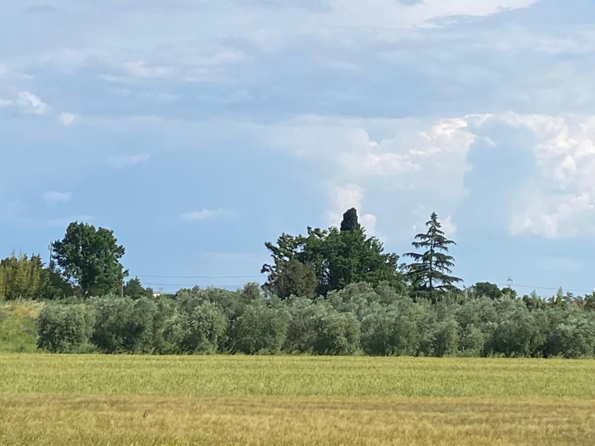 Accanto A Firenze Prato  Exteriör bild