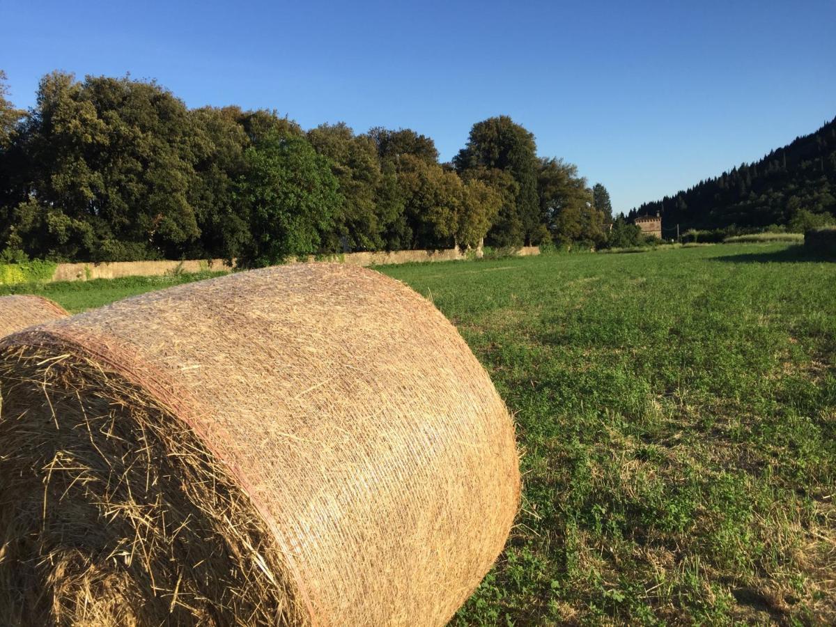 Accanto A Firenze Prato  Exteriör bild