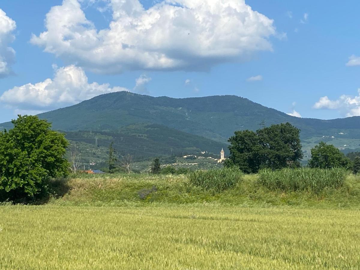 Accanto A Firenze Prato  Exteriör bild