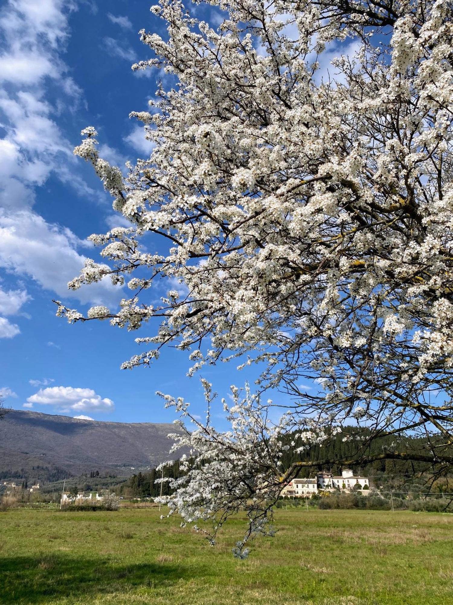 Accanto A Firenze Prato  Exteriör bild